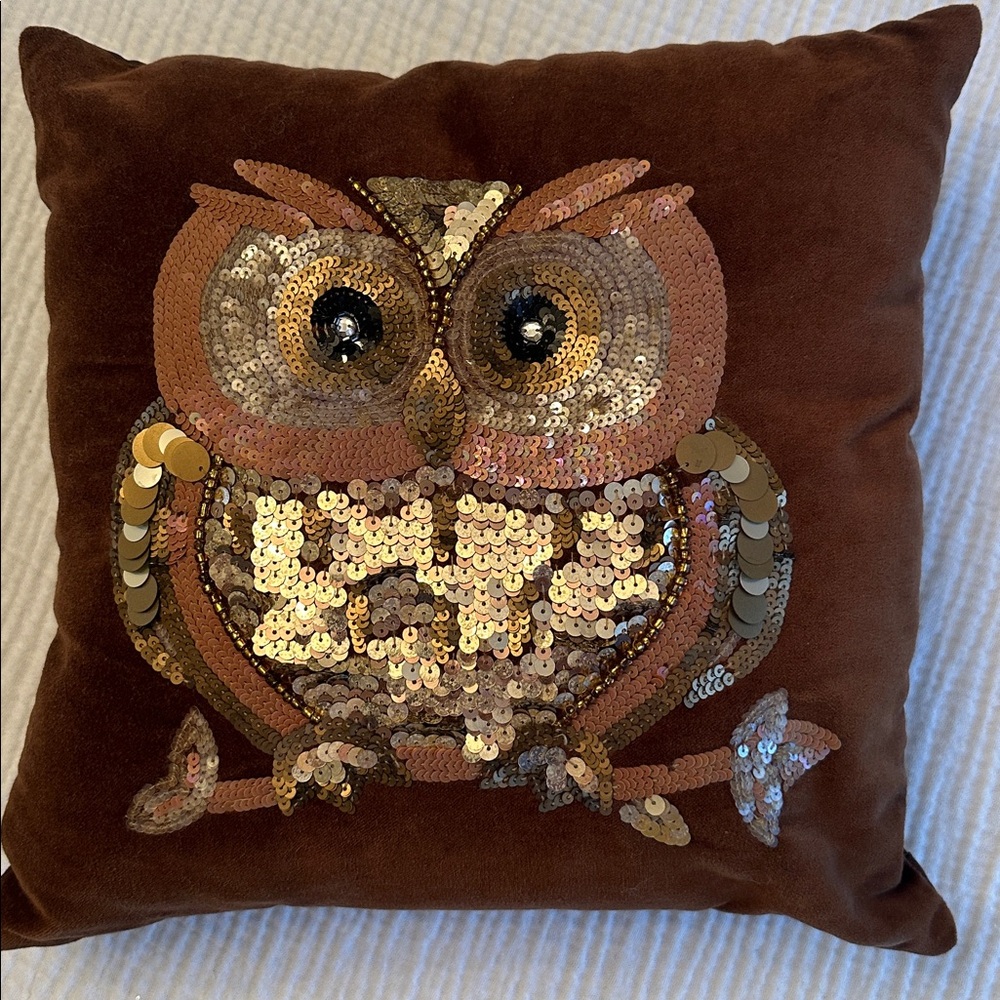Pier 1 Imports Beaded Sequin Owl Brown Velvet Pillow 14" Square Fall Decor - Picture 4 of 13